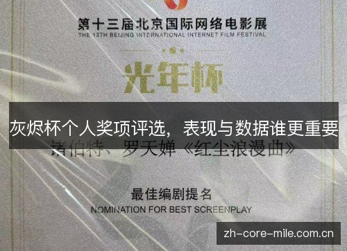 灰烬杯个人奖项评选，表现与数据谁更重要